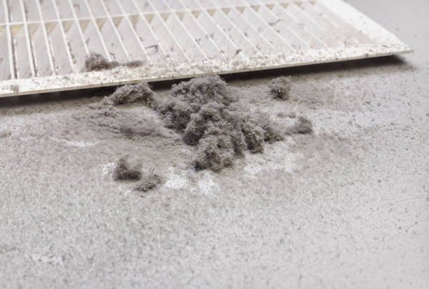 Best Ductwork Cleaning Services  in Wade, MS